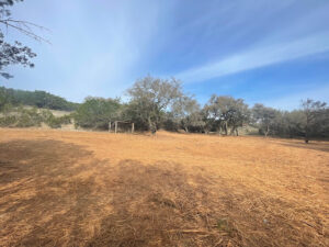 STX Land Clearing Services LLC-Uvalde