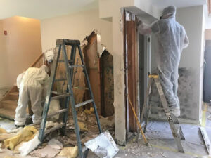 Inspection Texas "The Mold Guys"-Pearland