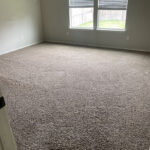 3B Mold Removal-Richardson