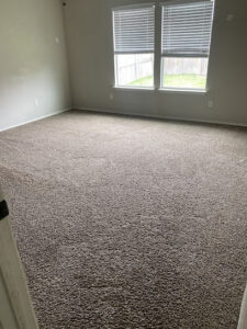 3B Mold Removal-Richardson