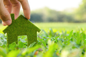 Green Defense Pest Control-Carrollton