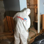 Restoration 1 of Austin-Austin