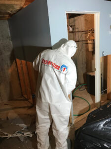 Restoration 1 of Austin-Austin
